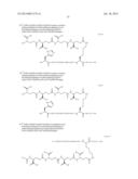 Novel Glucagon Analogues diagram and image