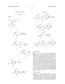 COMPOUNDS FOR ENZYME INHIBITION diagram and image