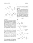 COMPOUNDS FOR ENZYME INHIBITION diagram and image