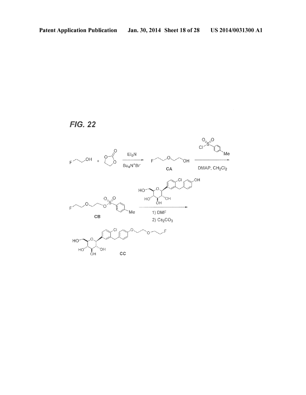 BENZYLBENZENE DERIVATIVES AND METHODS OF USE - diagram, schematic, and image 19