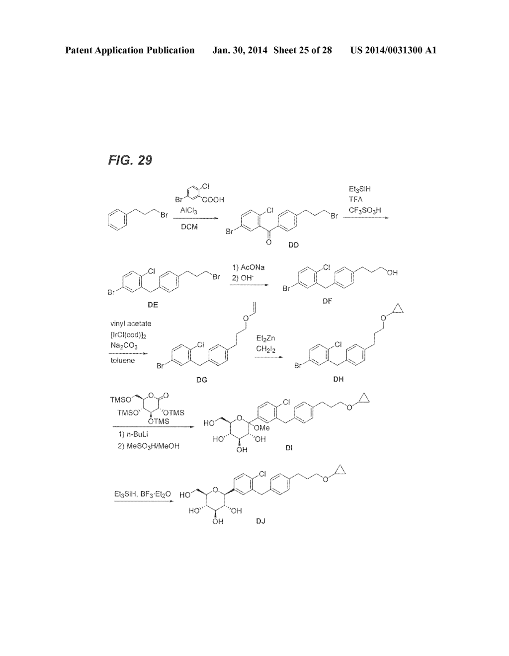 BENZYLBENZENE DERIVATIVES AND METHODS OF USE - diagram, schematic, and image 26