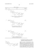 INHIBITORS OF THE RENAL OUTER MEDULLARY POTASSIUM CHANNEL diagram and image