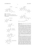 PHENYL-ISOXAZOL DERIVATIVES AND PREPARATION PROCESS THEREOF diagram and image