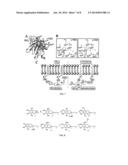 AKT INACTIVATION BY TOCOPHERYL DERIVATIVES diagram and image