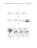 AKT INACTIVATION BY TOCOPHERYL DERIVATIVES diagram and image