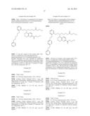 Novel 5-aminotetrahydroquinoline-2-carboxylic acids and their use diagram and image