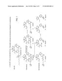 MACROCYCLIC COMPOUNDS AND METHODS OF TREATMENT diagram and image