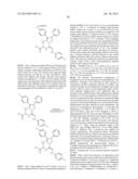 CANNABINOID RECEPTOR ANTAGONISTS/INVERSE AGONISTS USEFUL FOR TREATING     DISEASE CONDITIONS,  INCLUDING  METABOLIC DISORDERS  AND CANCERS diagram and image