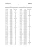 METHODS AND COMPOSITIONS INVOLVING MIRNA AND MIRNA INHIBITOR MOLECULES diagram and image