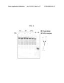 Multifunctional Aptamer-Nucleic Acid Nanostructures for Tumor-Targeted     Killing diagram and image