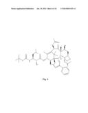 COMPOUNDS FOR TREATING PROLIFERATIVE DISORDERS diagram and image