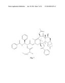 COMPOUNDS FOR TREATING PROLIFERATIVE DISORDERS diagram and image