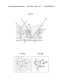 ENDOSCOPE SYSTEM diagram and image