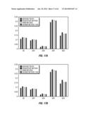 DIAGNOSTIC AND TREATMENT METHODS USING COHERENT ANTI-STOKES RAMAN     SCATTERING (CARS)-BASED MICROENDOSCOPIC SYSTEM diagram and image