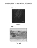 DIAGNOSTIC AND TREATMENT METHODS USING COHERENT ANTI-STOKES RAMAN     SCATTERING (CARS)-BASED MICROENDOSCOPIC SYSTEM diagram and image