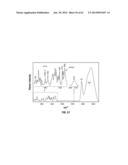 DIAGNOSTIC AND TREATMENT METHODS USING COHERENT ANTI-STOKES RAMAN     SCATTERING (CARS)-BASED MICROENDOSCOPIC SYSTEM diagram and image