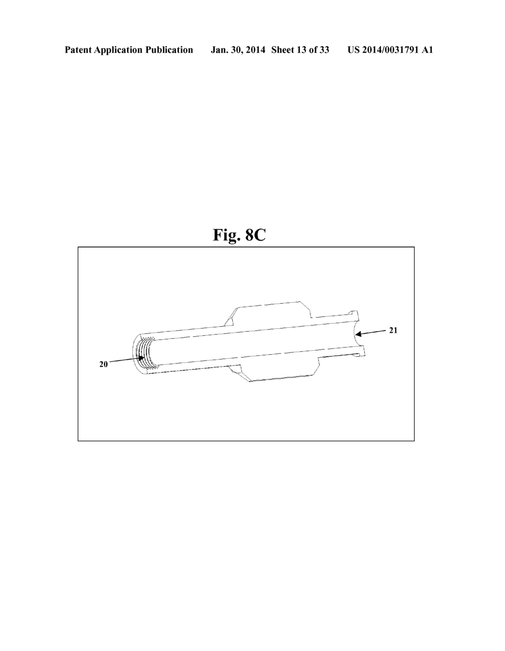 BONE SCREWS AND METHODS OF USE THEREOF - diagram, schematic, and image 14