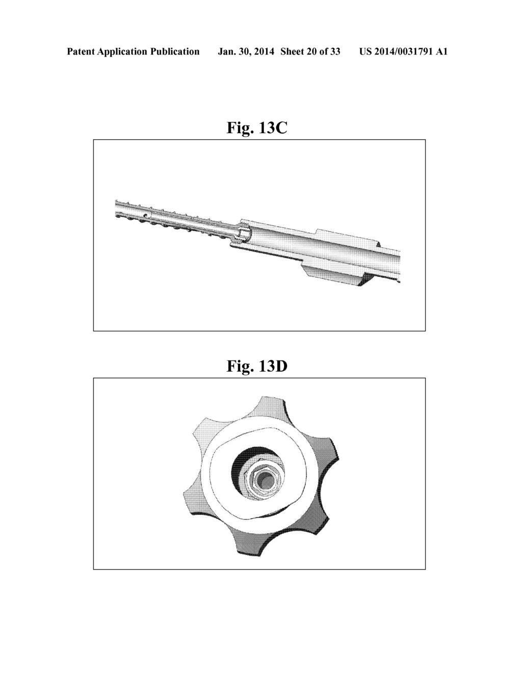 BONE SCREWS AND METHODS OF USE THEREOF - diagram, schematic, and image 21