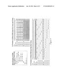 Floating point matrix multiplication co-processor diagram and image