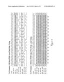 Floating point matrix multiplication co-processor diagram and image