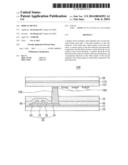 DISPLAY DEVICE diagram and image