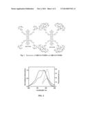 NOVEL THERANOSTIC PLATFORM FOR TARGETED CANCER THERAPY AND DRUG DELIVERY     MONITORING diagram and image