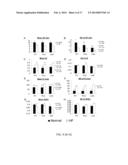 INHIBITION OF FIBROSIS AND AF BY TGF-BETA INHIBITION IN THE POSTERIOR LEFT     ATRIUM (PLA) diagram and image