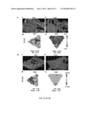 INHIBITION OF FIBROSIS AND AF BY TGF-BETA INHIBITION IN THE POSTERIOR LEFT     ATRIUM (PLA) diagram and image