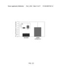 INHIBITION OF FIBROSIS AND AF BY TGF-BETA INHIBITION IN THE POSTERIOR LEFT     ATRIUM (PLA) diagram and image