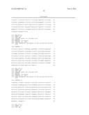 METHODS TO DIAGNOSE AND IMMUNIZE AGAINST THE VIRUS CAUSING HUMAN MERKEL     CELL CARCINOMA diagram and image