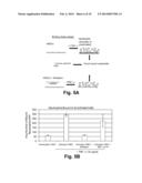 Use of Stem Cells to Reduce Leukocyte Extravasation diagram and image