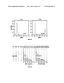 HEMATOPOIETIC PRECURSOR CELL PRODUCTION BY PROGRAMMING diagram and image