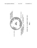 Soluble glycosaminoglycanases and methods of preparing and using soluble     glycosaminoglycanases diagram and image