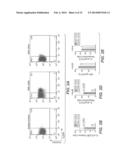 METHOD OF TREATING AUTOIMMUNE INFLAMMATORY DISORDERS USING IL-23R     LOSS-OF-FUNCTION MUTANTS diagram and image