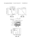 ANTI-FGFR4 ANTIBODIES AND METHODS OF USE diagram and image