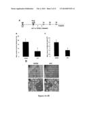 HUMANIZED SINGLE-CHAIN ANTIBODY AGAINST BETA 3 INTEGRIN FOR THE TREATMENT     AND PREVENTION OF METASTASIS diagram and image