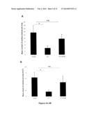 HUMANIZED SINGLE-CHAIN ANTIBODY AGAINST BETA 3 INTEGRIN FOR THE TREATMENT     AND PREVENTION OF METASTASIS diagram and image