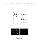 HUMANIZED SINGLE-CHAIN ANTIBODY AGAINST BETA 3 INTEGRIN FOR THE TREATMENT     AND PREVENTION OF METASTASIS diagram and image