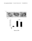 HUMANIZED SINGLE-CHAIN ANTIBODY AGAINST BETA 3 INTEGRIN FOR THE TREATMENT     AND PREVENTION OF METASTASIS diagram and image