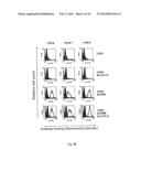 ANTI-CD98 ANTIBODY PROCESSES diagram and image