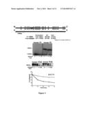 MITIGATING TISSUE DAMAGE AND FIBROSIS VIA LATENT TRANSFORMING GROWTH     FACTOR BETA BINDING PROTEIN (LTBP4) diagram and image