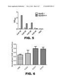 COMPOSITIONS AND METHODS FOR TREATING AMYLOID PLAQUE ASSOCIATED SYMPTOMS diagram and image