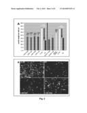 LINGO Binding Molecules and Pharmaceutical Use Thereof diagram and image