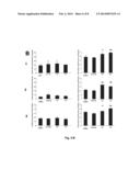 LINGO Binding Molecules and Pharmaceutical Use Thereof diagram and image