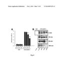 LINGO Binding Molecules and Pharmaceutical Use Thereof diagram and image