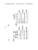 COMPOSITION COMPRISING EXPRESSION OR ACTIVITY INHIBITORS OF NINJURIN1 FOR     THE PREVENTION AND TREATMENT OF INFLAMMATORY DISEASE diagram and image