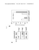 COMPOSITION COMPRISING EXPRESSION OR ACTIVITY INHIBITORS OF NINJURIN1 FOR     THE PREVENTION AND TREATMENT OF INFLAMMATORY DISEASE diagram and image