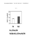 COMPOSITION COMPRISING EXPRESSION OR ACTIVITY INHIBITORS OF NINJURIN1 FOR     THE PREVENTION AND TREATMENT OF INFLAMMATORY DISEASE diagram and image