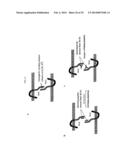 COMPOSITION COMPRISING EXPRESSION OR ACTIVITY INHIBITORS OF NINJURIN1 FOR     THE PREVENTION AND TREATMENT OF INFLAMMATORY DISEASE diagram and image