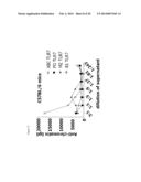 DIAGONSIS AND TREATMENT OF AUTOIMMUNE DISEASES BY TARGETING     AUTOIMMUNE-RELATED B CELLS ( ABCS ) diagram and image